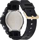 DW-6900CB-1