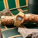 DW-5600PT-5