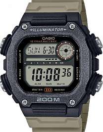 DW-291HX-5A
