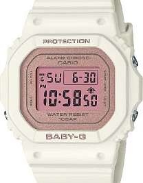BGD-565SC-4